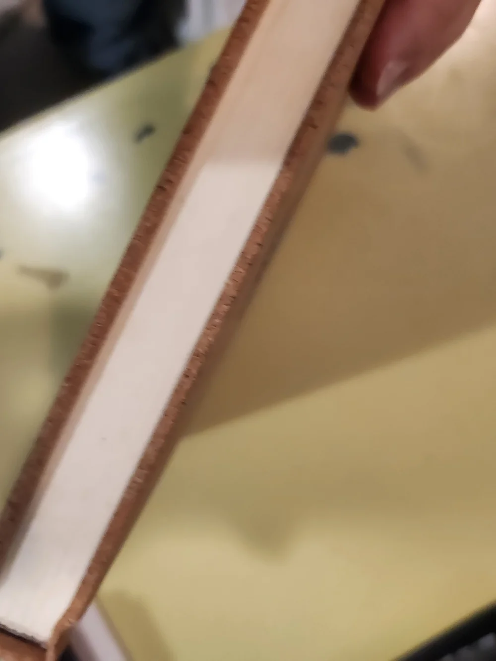 Cork Notebook - Natural Brown Cover